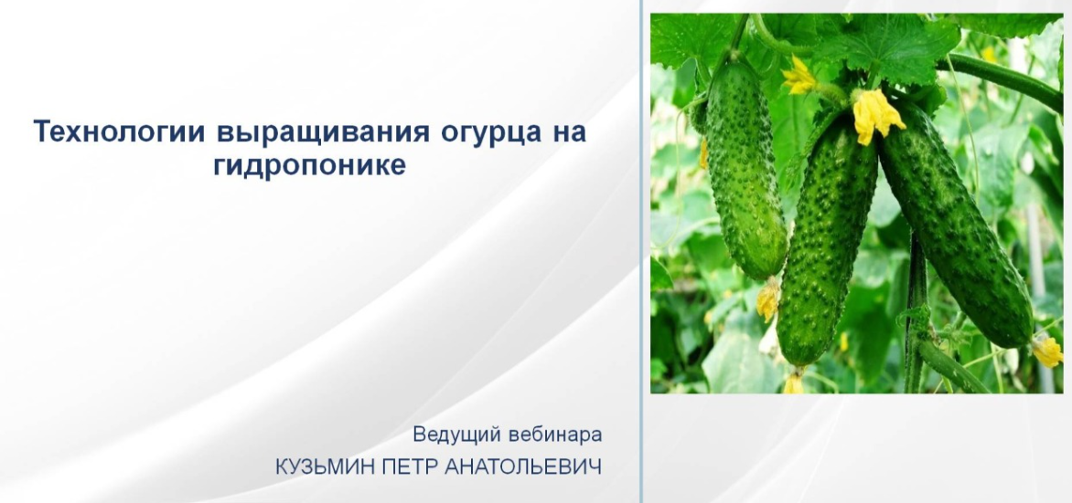 [НИИДПО] Петр Кузьмин — Технология выращивания огу_0.png